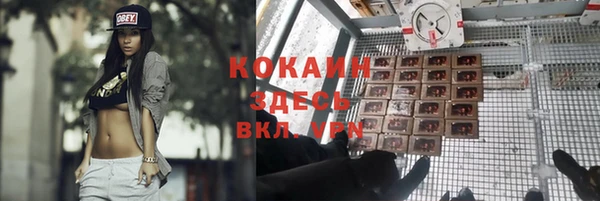 стаф Белокуриха