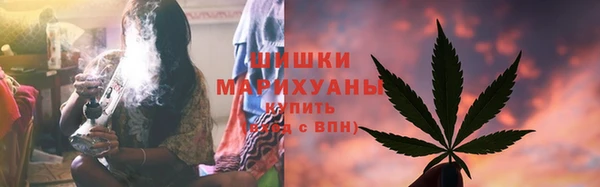 ПСИЛОЦИБИНОВЫЕ ГРИБЫ Балахна