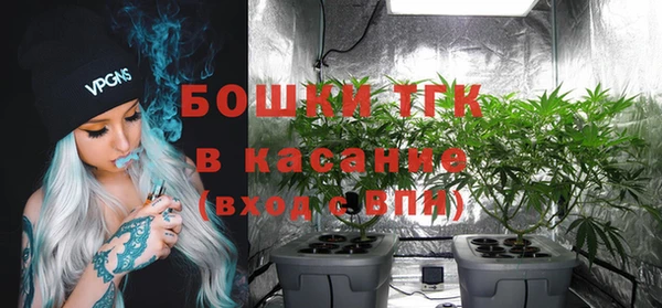первитин Богородицк