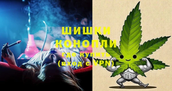 стаф Белокуриха