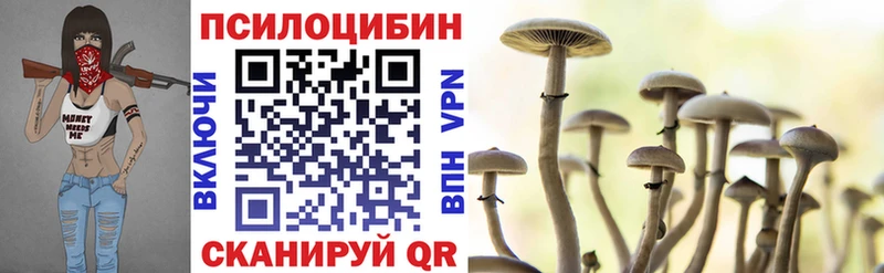 Галлюциногенные грибы Cubensis  Купить закладки  Мыски 